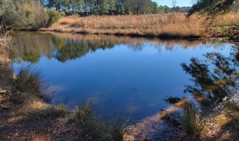 TBD Hwy 385 & Family Farm Rd, Bennettsville, SC 29512