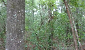 5001 Al Gillman Rd, Baker, FL 32531