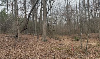 HARDWARE RD lot C2, Arvonia, VA 23004