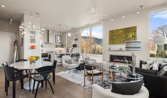 103 Willits Way 204, Basalt, CO 81621