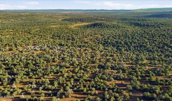 8602 N TEN TANKS Rd 157, Ash Fork, AZ 86320