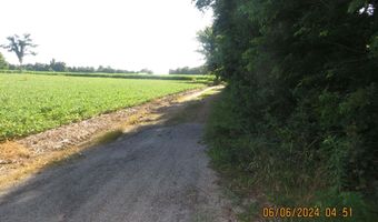 192 CR 1320 New Laketon Road, Bardwell, KY 42023