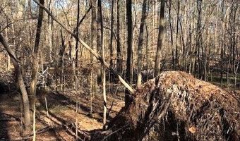 1114 Reedy Creek Rd, Bradley, SC 29819