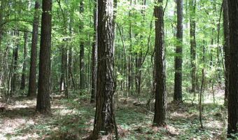 00 Pinola Braxton Rd, Braxton, MS 39044