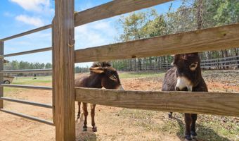 1778 White Rd, Camden, SC 29020