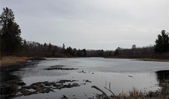 31538 County 23, Akeley, MN 56433