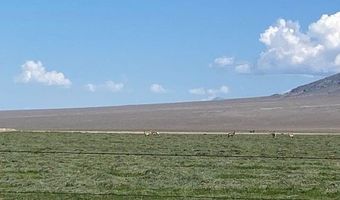 1199 Fire Station Rd S, Ely, NV 89301