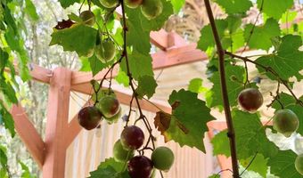 9150 SW 151ST Ln, Archer, FL 32618