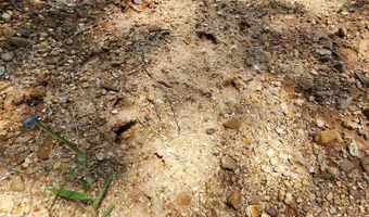 Tbd NE Bahalia Road, Brookhaven, MS 39601