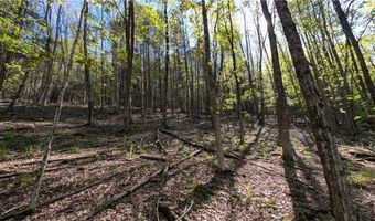 East River Road lot 5, Andes, NY 13731