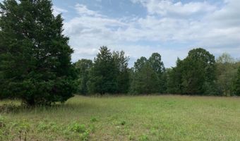 Leesville Road, Altavista, VA 24517