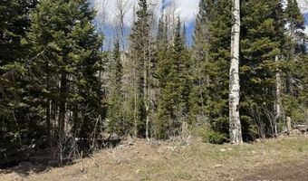 347 N Falcon Ct, Brian Head, UT 84719