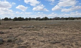 64 Antelope Run, Ash Fork, AZ 86320