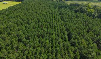 840 County Road 33, Ashford, AL 36312