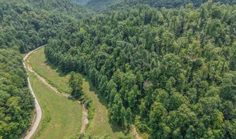 3750 Hunting Creek Rd, Bays, KY 41310