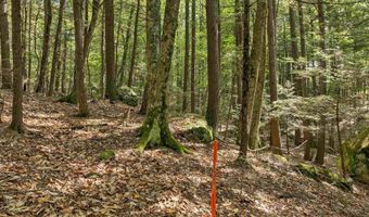Lot 36 Mauhaut Shores Road, Alton, NH 03810