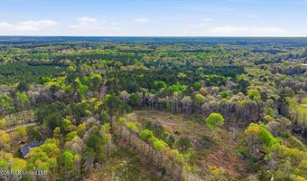 Harrisville Braxton Road, Braxton, MS 39044