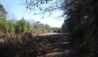 2650 Joe Miley Rd, Brunson, SC 29911