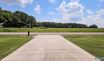 15729 Lapington Rd, Athens, AL 35614