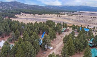 13 Cortez Ter, Angel Fire, NM 87710