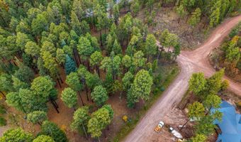 COUNTY ROAD 2196, Alpine, AZ 85920