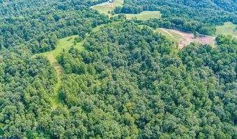 Tract # 3 Willis Creek Rd, Albany, KY 42602