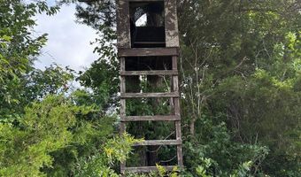 9891 Baskerville Rd, Baskerville, VA 23915