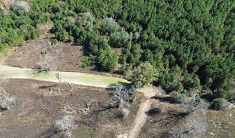 1228 River Rd, Ariton, AL 36311