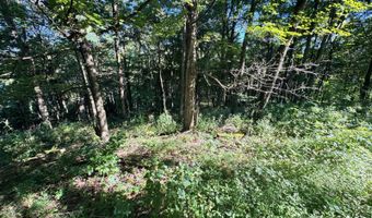 0 Pullim Hollow Rd, Addison, PA 15411