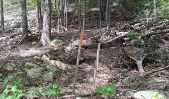 M10 L26-3 Valley Dam Road, Barnstead, NH 03225