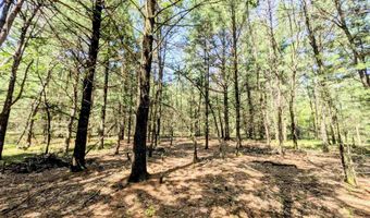 2479 9th Dr, Adams, WI 53910