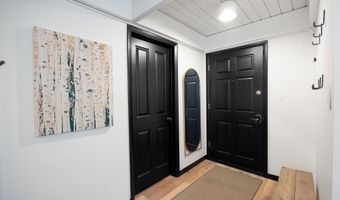 901 E Hyman Ave 4, Aspen, CO 81611