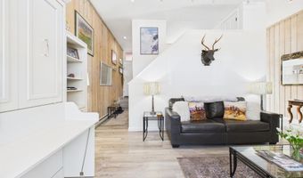 311 S Aspen St 3, Aspen, CO 81611