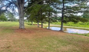 97 COUNTY ROAD 142, Arley, AL 35541