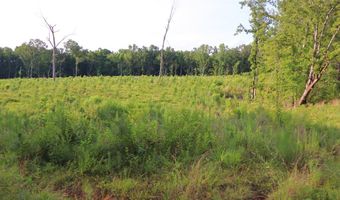 Hwy 9, Bruce, MS 38915