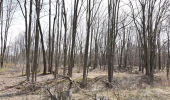 5628 State Route 7, Andover, OH 44003