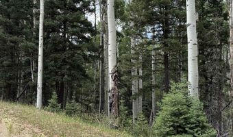 Back Basin Road lot 4, Angel Fire, NM 87710