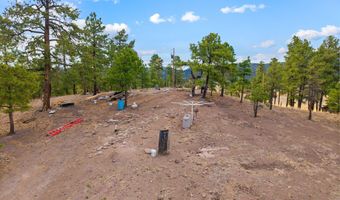 County Road N2144, Alpine, AZ 85920