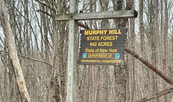 2636 Murphy Hill Rd, Andes, NY 13731