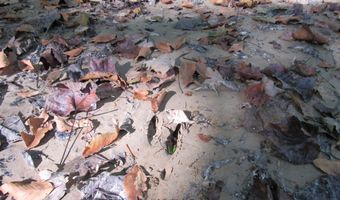 Anding Oil City Road, Bentonia, MS 39040