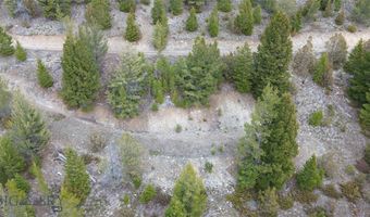 Tract J Shoot the Moon Lane, Anaconda, MT 59711