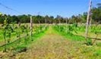 488 Rock House, Bennington, OK 74723