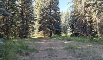 201 Golden Forest Rd, Bayfield, CO 81122