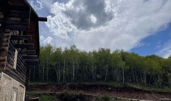 777 RICHARDSON CREEK Rd, Afton, WY 83110