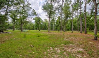 10890 NE 102ND Pl, Archer, FL 32618
