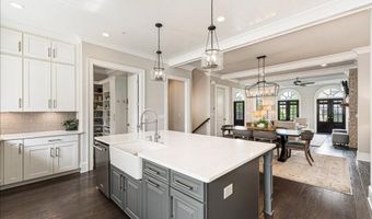 204 Violet Garden Walk, Alpharetta, GA 30004