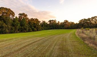 100 Acres Harmony Church Rd, Andalusia, AL 36421