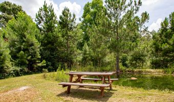 2512 Beulah Church Rd, Alma, GA 31510
