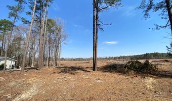 Chalk Level Rd lot 1, Alberta, VA 23821