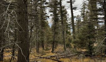 1335 Skyview Way, Angel Fire, NM 87710